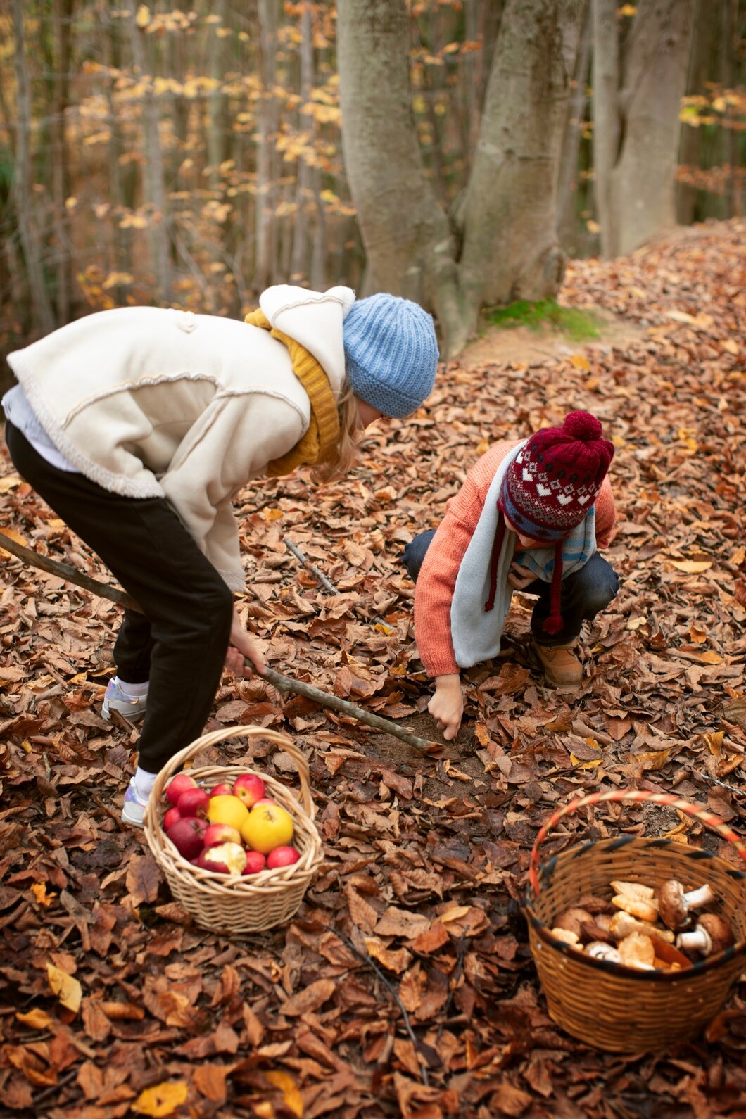Membros da comunidade colhendo produtos florestais
